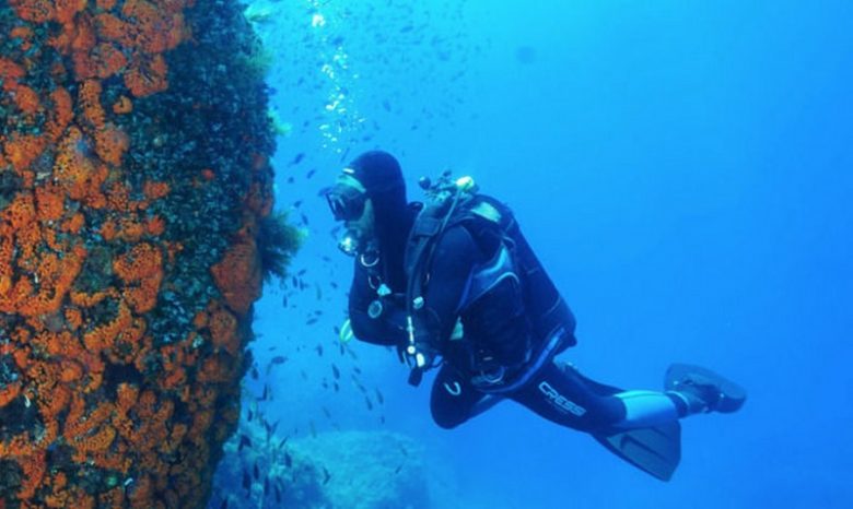 ustica-diving_800x478